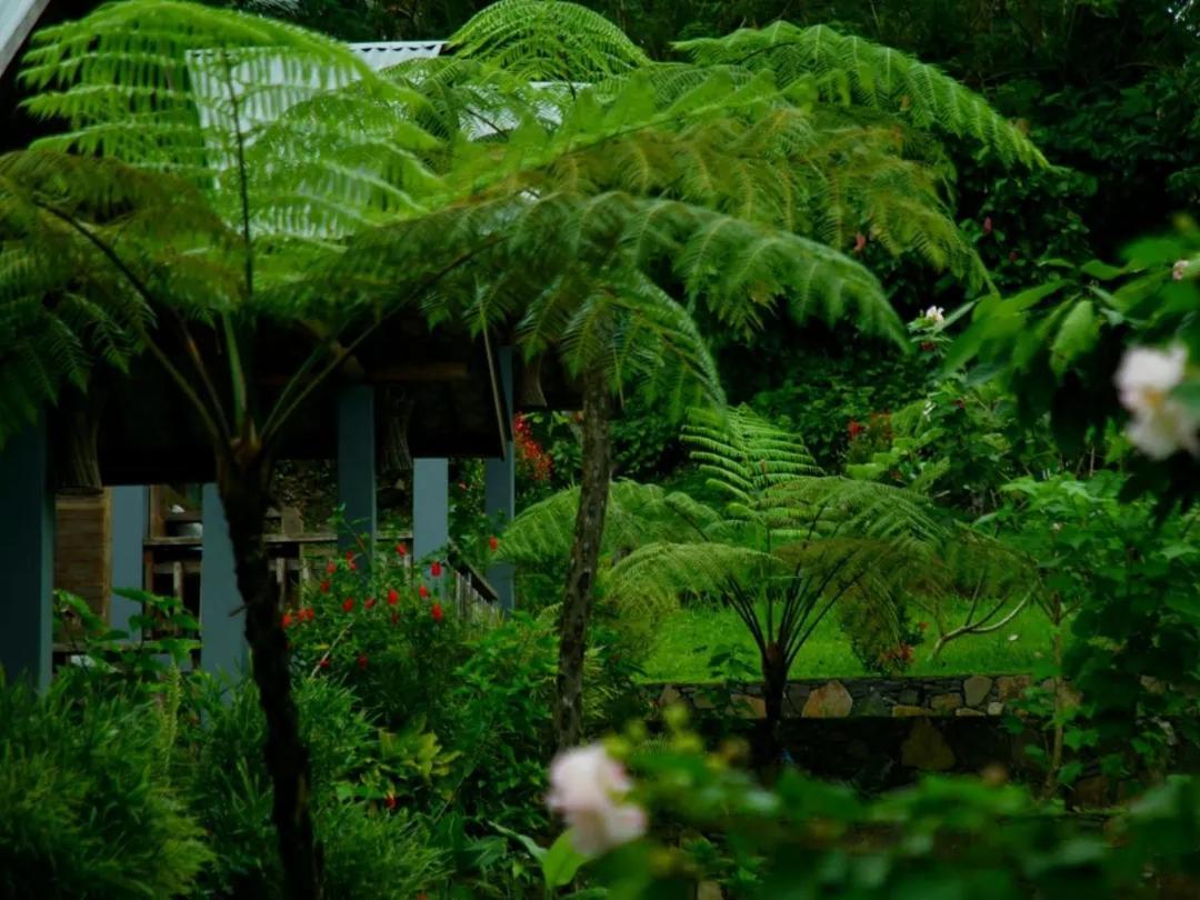 The Geckos Homestay Vulkan Vulkan Kelimutu Exterior foto
