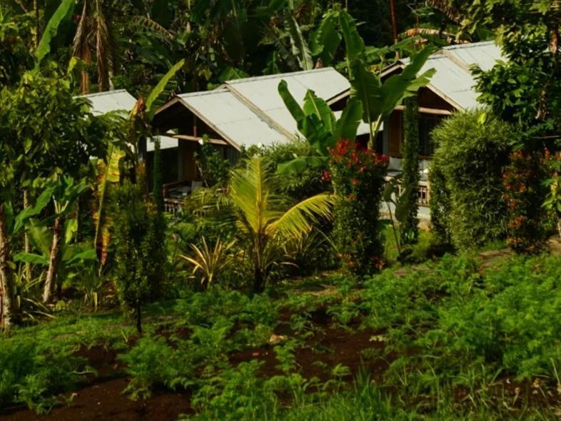 The Geckos Homestay Vulkan Vulkan Kelimutu Zimmer foto