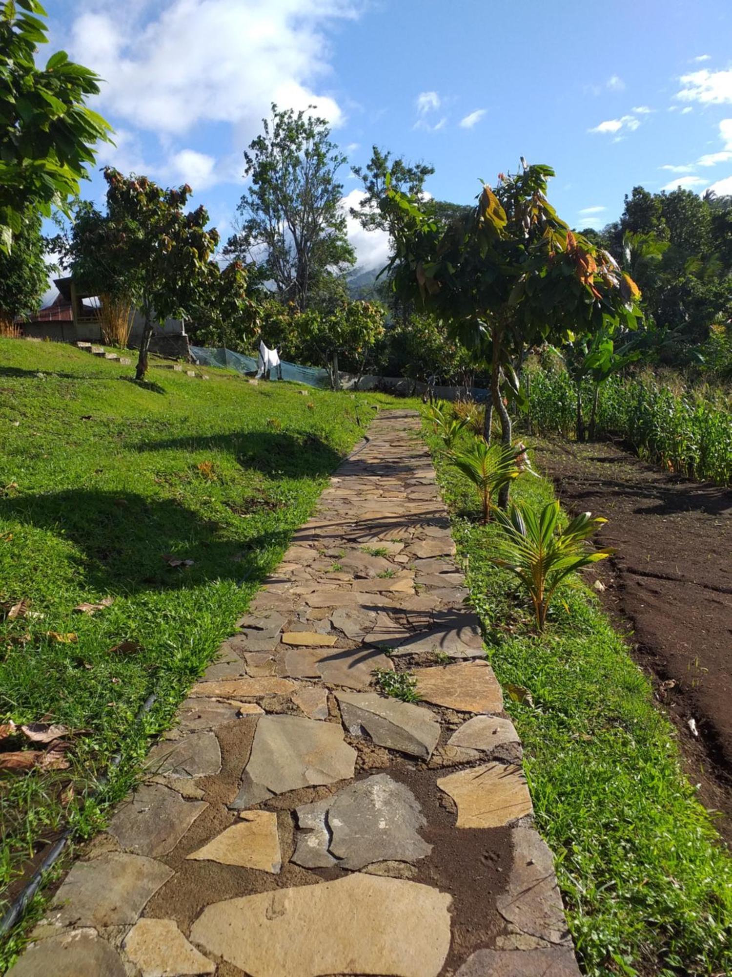 The Geckos Homestay Vulkan Vulkan Kelimutu Zimmer foto