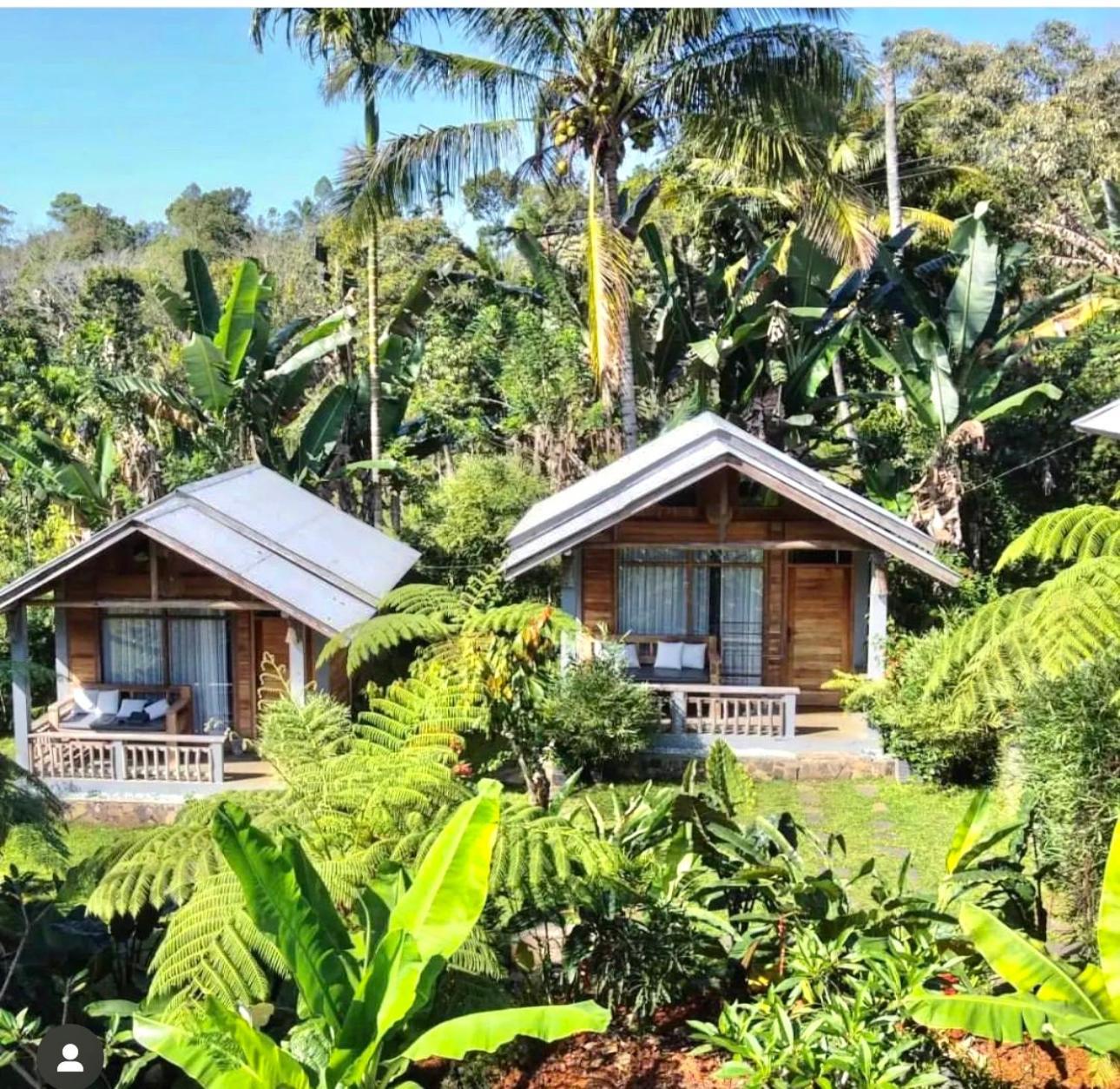 The Geckos Homestay Vulkan Vulkan Kelimutu Exterior foto